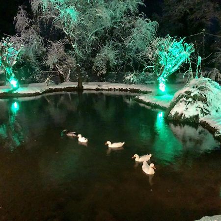 Dipla Sto Potami Hotel Chani Terevou Bagian luar foto